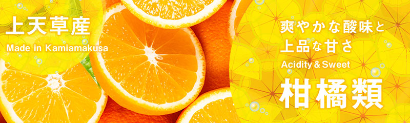 上天草市特産品ネットショップ 熊本 天草の特産品お取り寄せ通販サイト